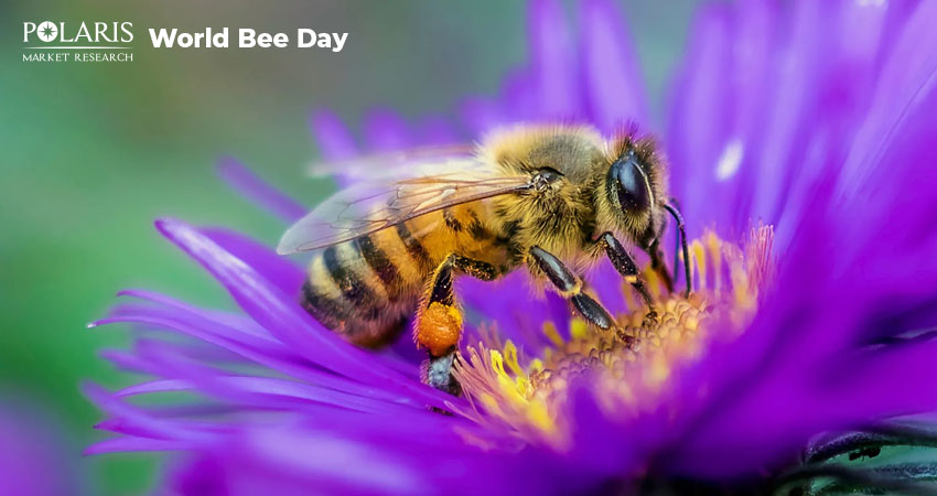 How Bees Support Biodiversity and Life on Earth?